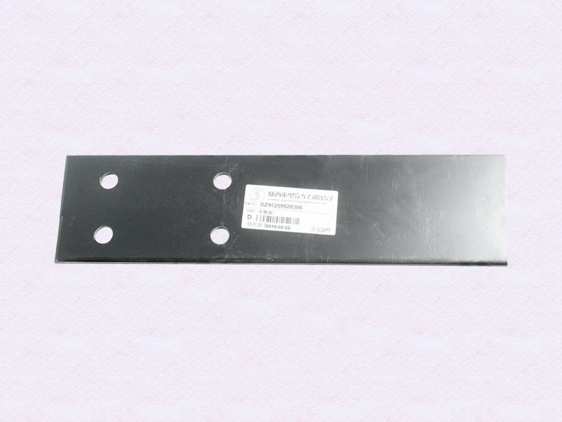 DZ95259520306
