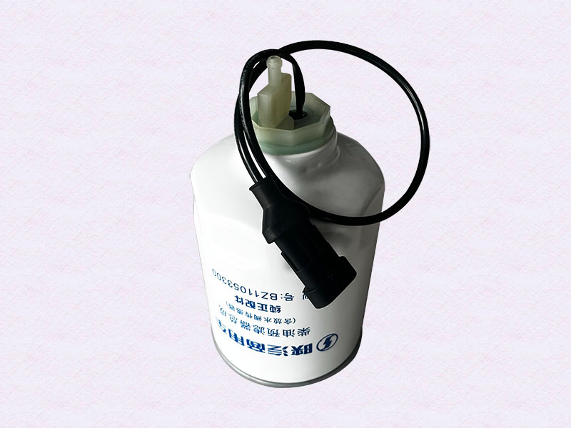 BZ11053300